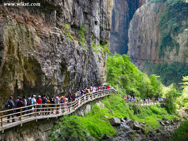 玩轉魔幻山城重慶+武隆+九黎城+龔灘+烏江畫廊+金佛山3日游